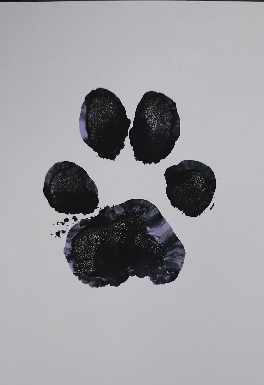 paw