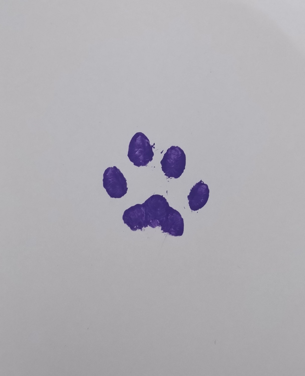 paw